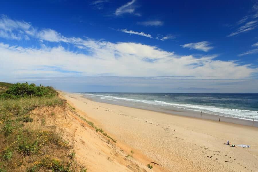 Classic Cape Great Location Dog Welcome Villa Wellfleet Exterior photo